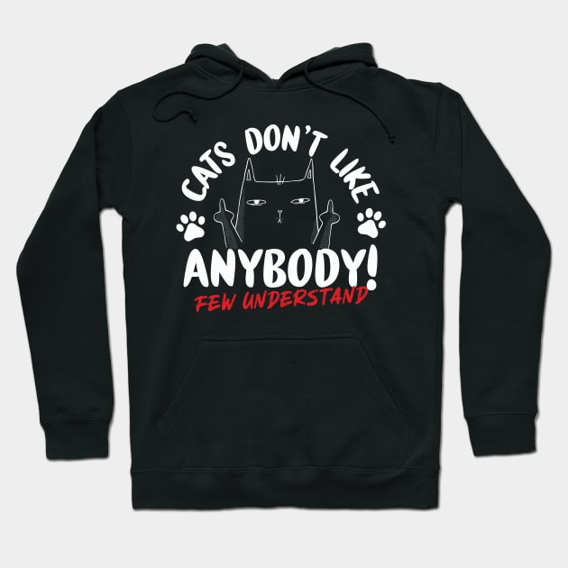 Cats Don't Like Anybody Hoodie by thingsandthings